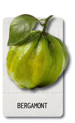 BERGAMONT
